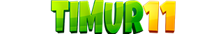 TIMUR11